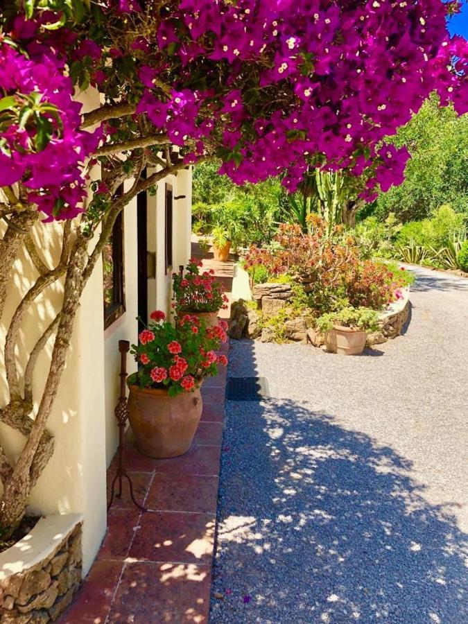 Agroturismo Can Talaias San Carlos Es Cana 외부 사진